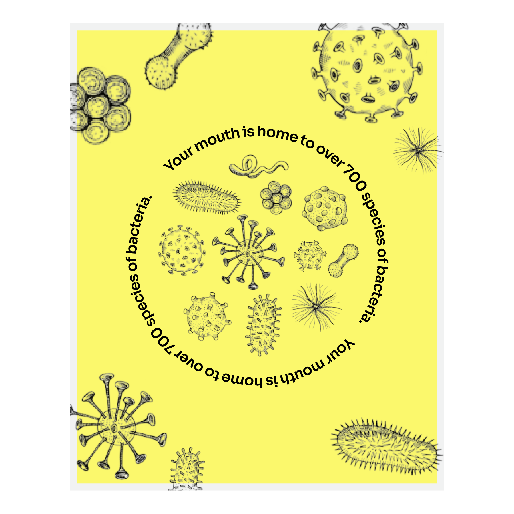 ToothScience work sample frame 04